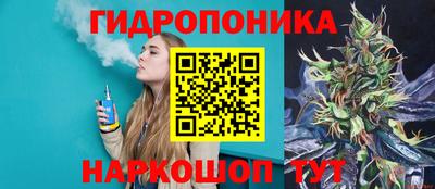 молекула духа Бийск
