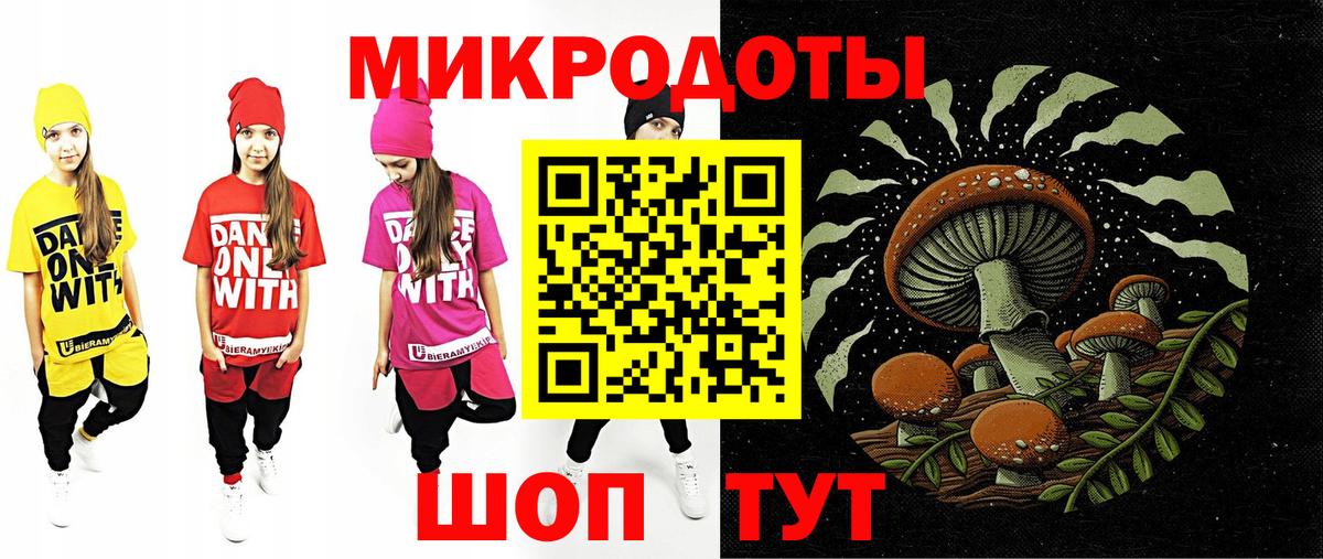 Галлюциногенные грибы Psilocybine cubensis Владивосток